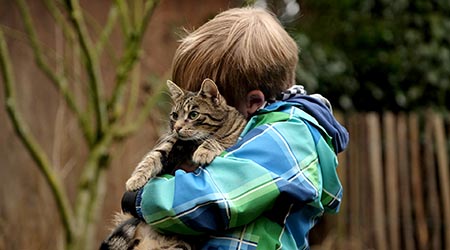 boy hugging cat, visiting during Port Road Vet opening hours