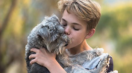 Preventative pet care. Boy and dog 