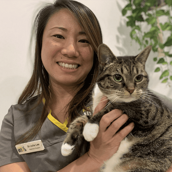 Dr Julia Lee holding a cat